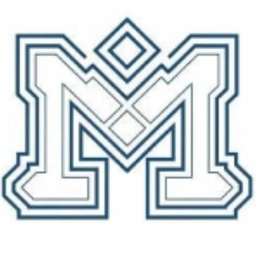  Manaviya Tech Solutions